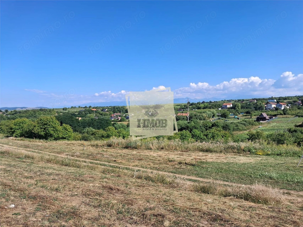 Teren extravilan 537 mp Daia Noua