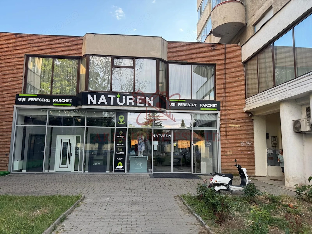 Investiție comercială 1.541 mp cu chiriași – Calea Aradului.