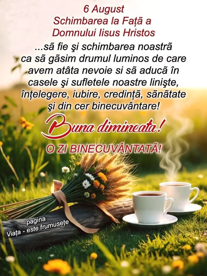 imobiliare terenuri 