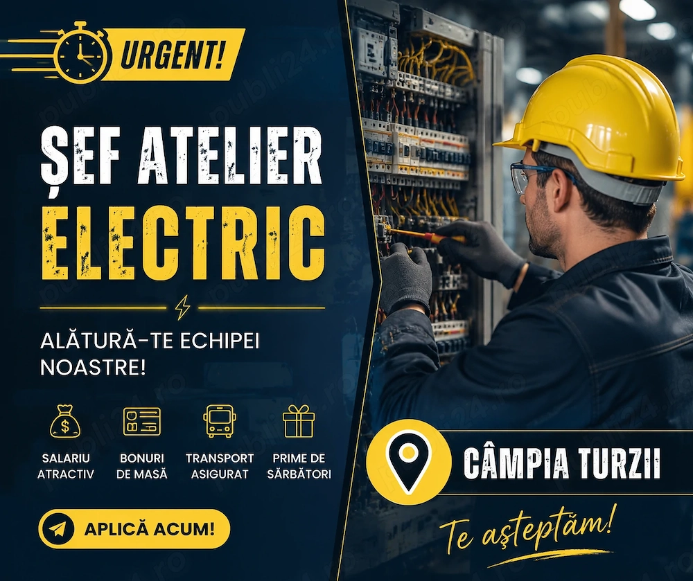 Angajam Sef atelier electric  electrician