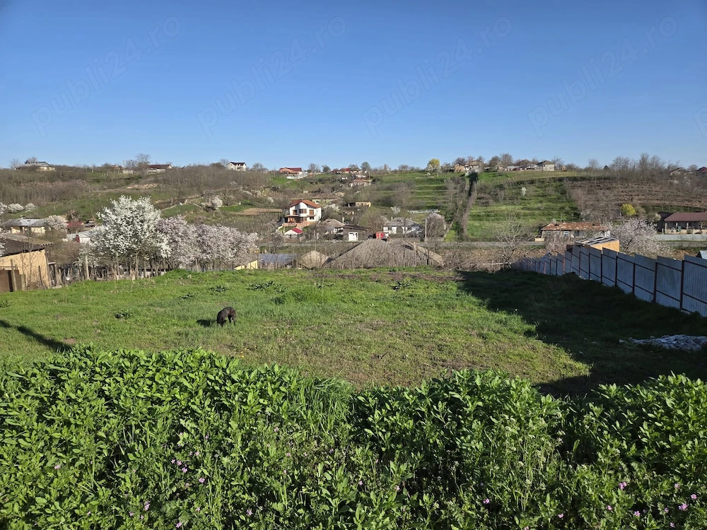 Teren construibil cu vedere superbă   Somova, Tulcea   1.238 mp   Utilități