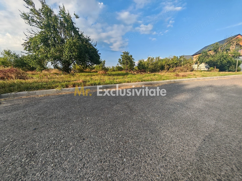 Teren intravilan 1.600 mp Mioveni – Zona Pruni