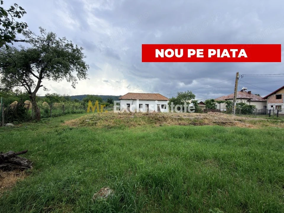 Teren intravilan–2.109 mp | Albești - Transfagarasan - Curtea de Arges