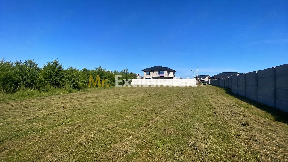Teren intravilan 530 Mp | Albota