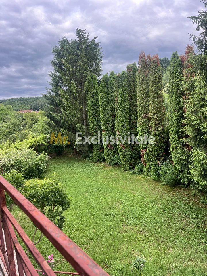 Acasă la Bascov- Județ Arges cu peisaj de poveste