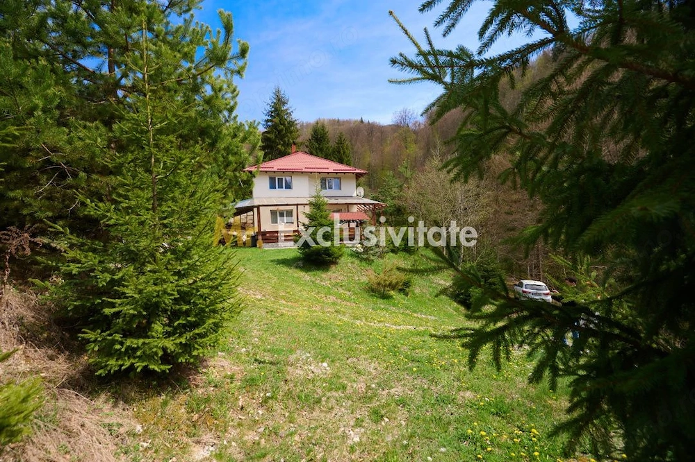 Casa Dambovicioara - CASA de vacanta sau PENSIUNE profitabila