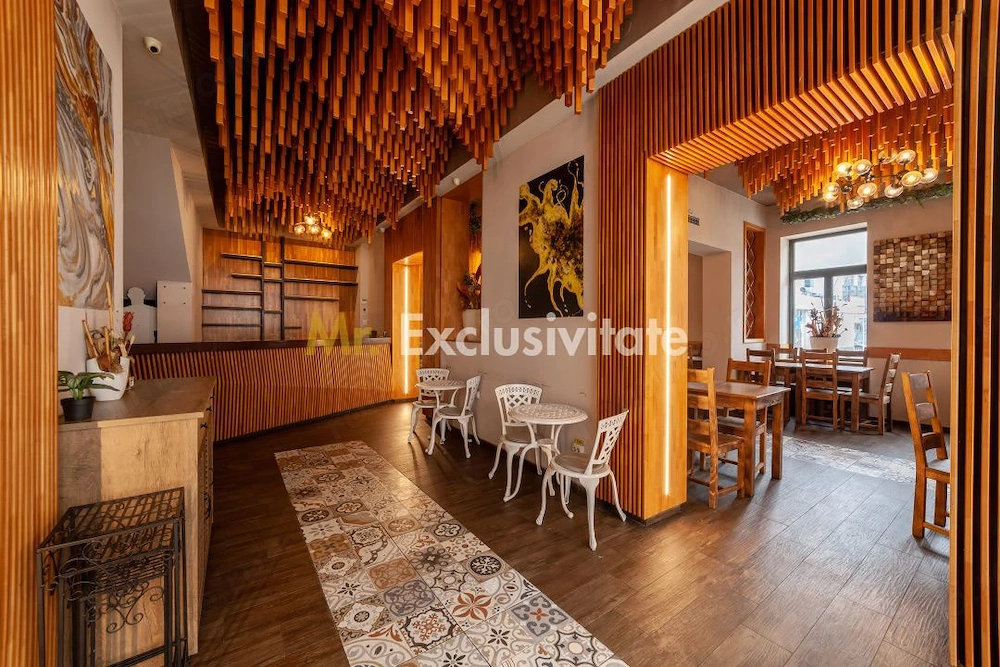 Spatiu comercial premium in vila – Bd. Republicii, Pitesti