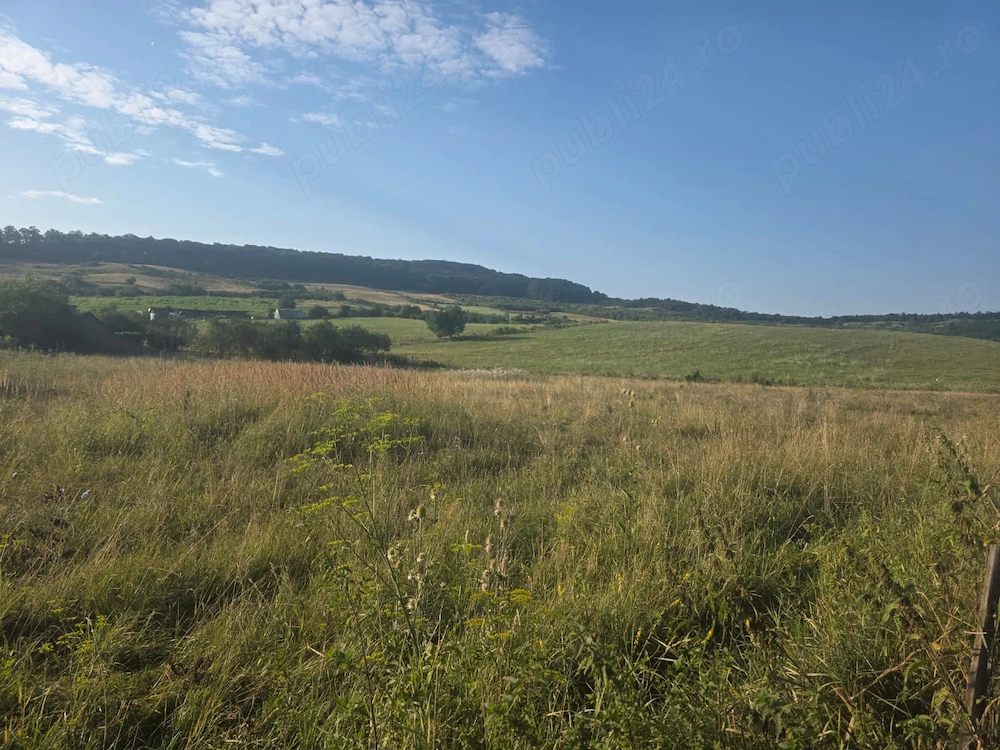 Teren intravilan de vanzare   2.600 mp, Valea Stanelor
