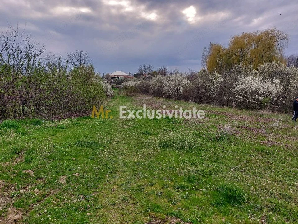 Teren Topoloveni - 3670 mp - langa padure, aproape de Centrul orasului
