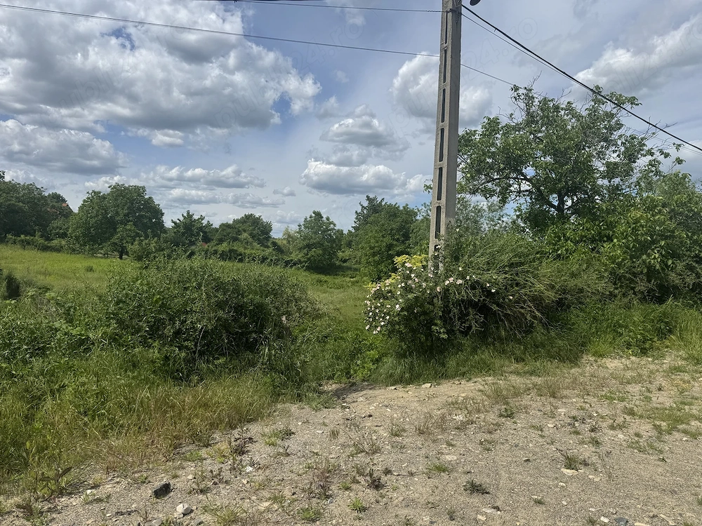 Teren intravilan Goruni, Tomești   1.520 mp, posibilitate împărțire