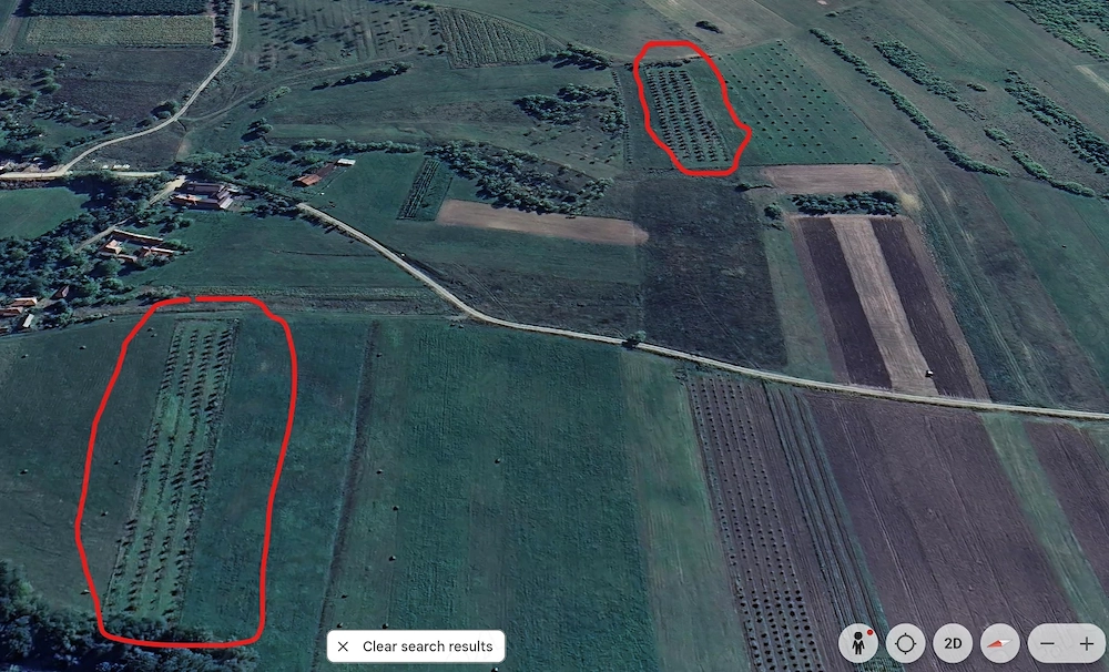 Livadă nuci matură, plantație intensivă, irigație + fântână, Sălaj