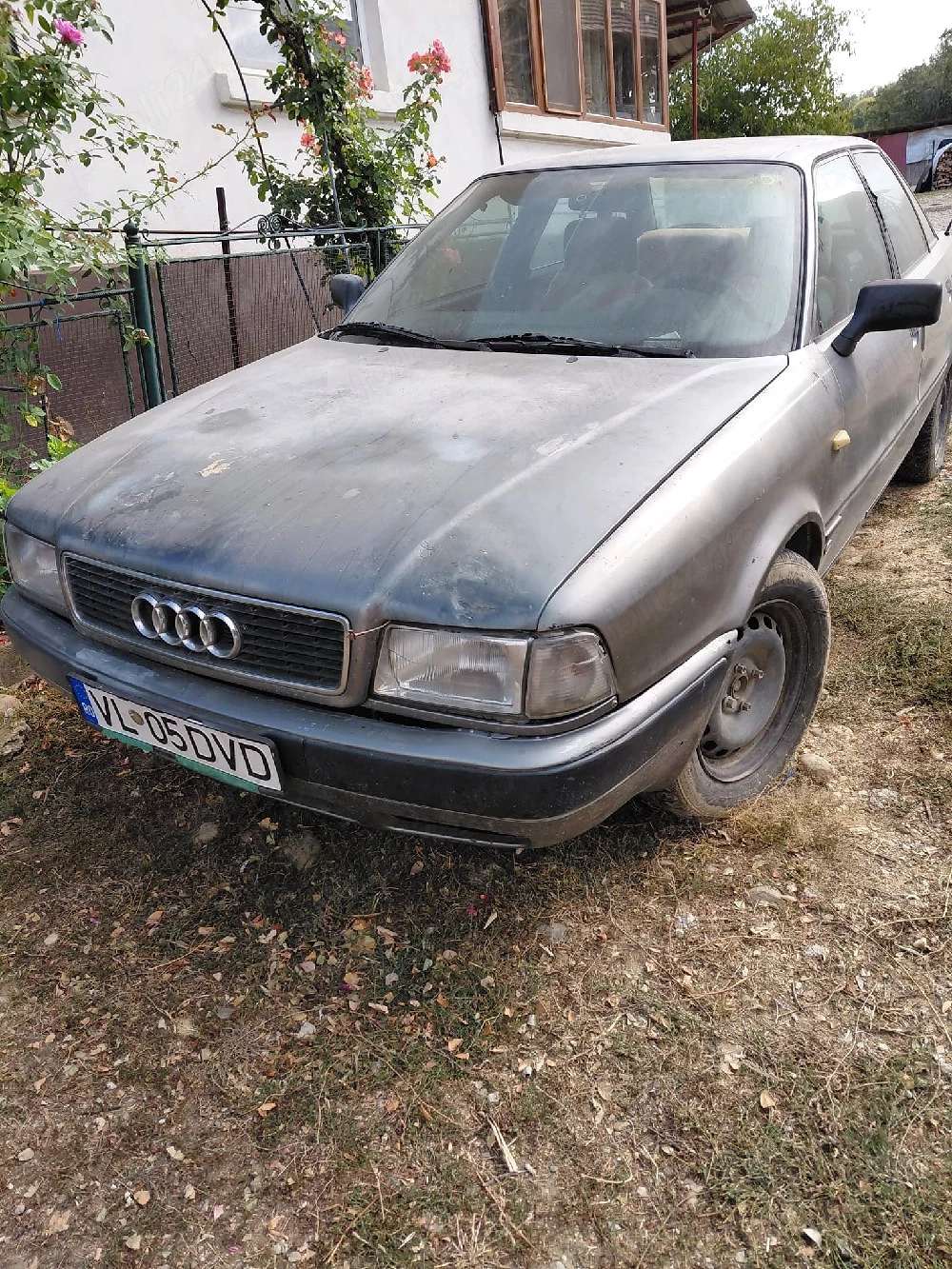 Foto 5