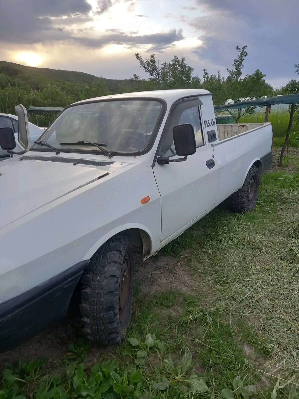 Dacia Papuc 19 diesel 4x4