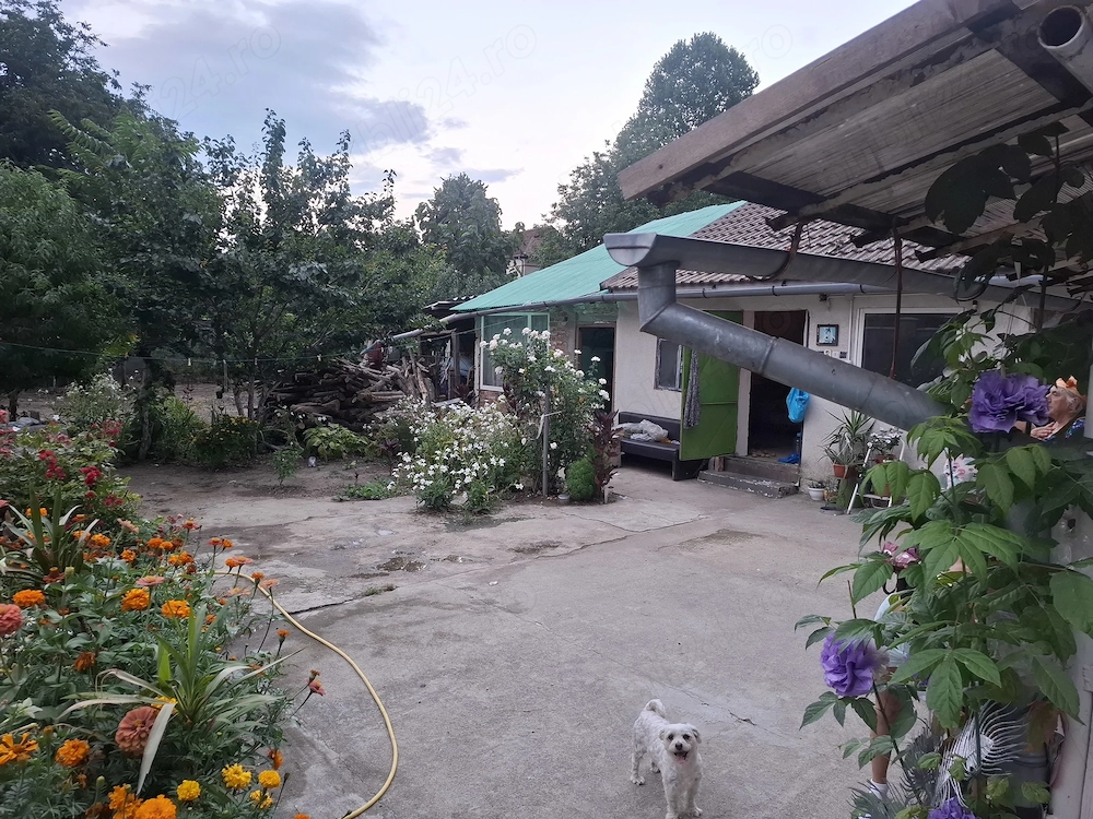 Casa de vânzare in curte comuna