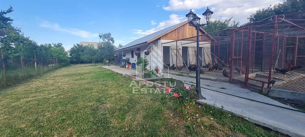 Casa individuala de vanzare cu teren de 2000 mp, Fratelia, Timisoara