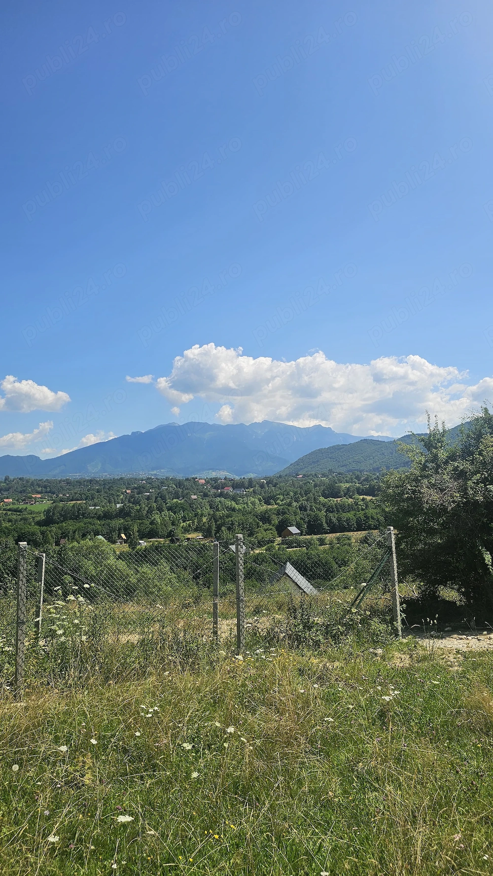 Zarnesti zona Tohanita 