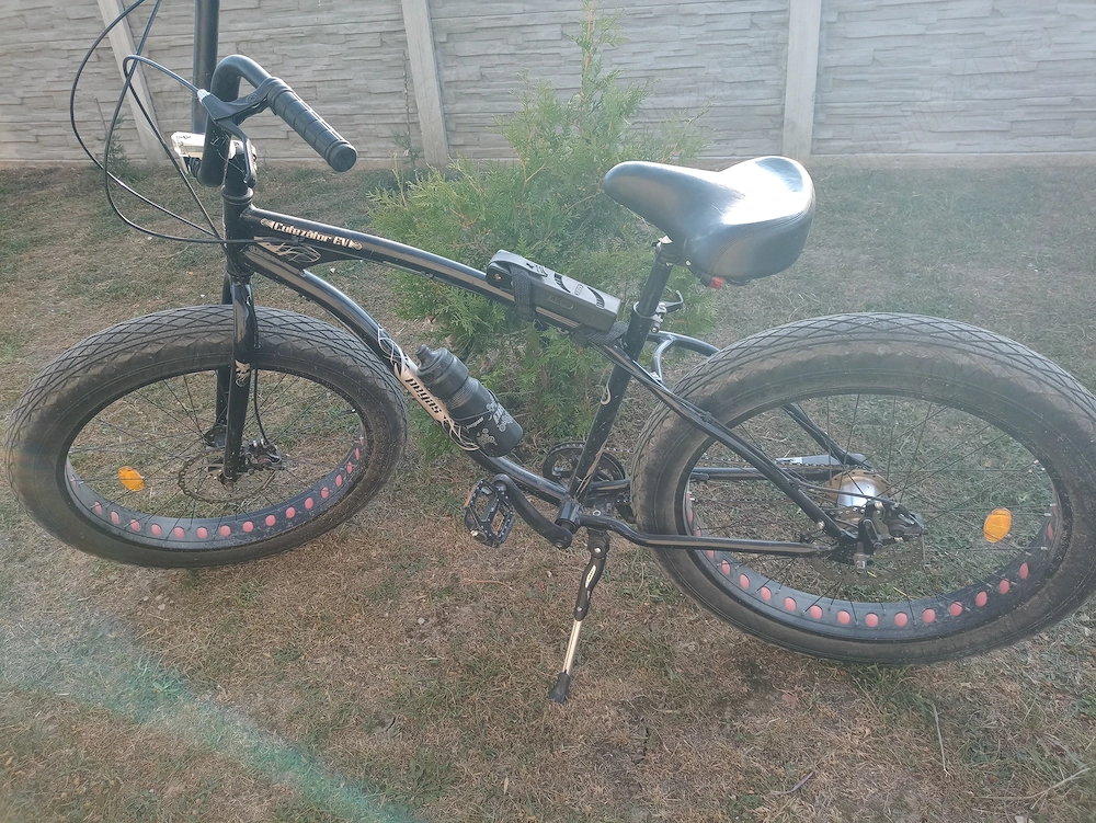 Bicicletă Pegas Cutezător echipată