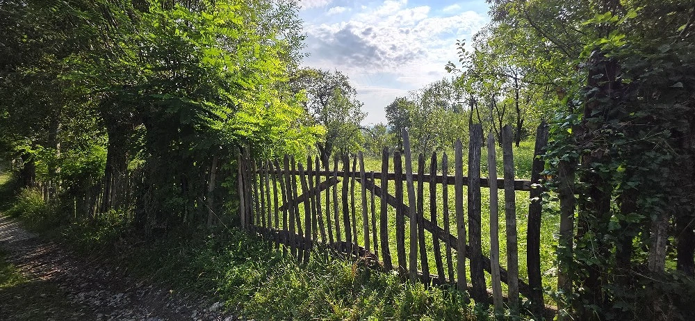 Teren intravilan Talea