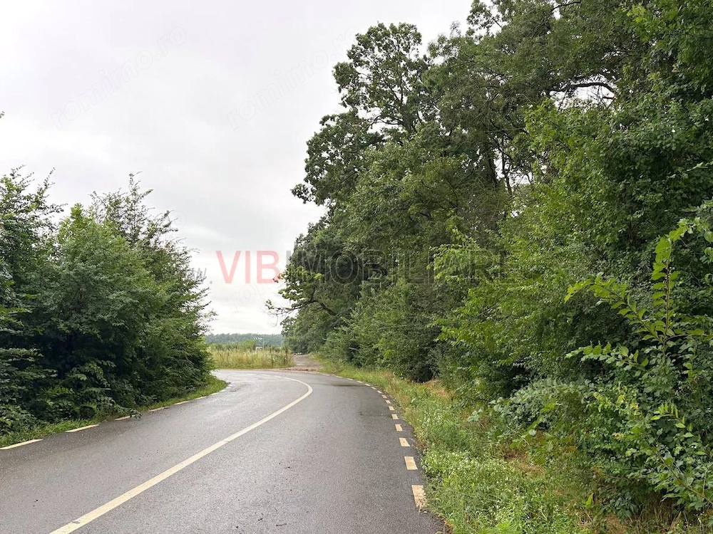 Teren cu vedere la padure – Snagov, Ghermanesti, Str. Razboieni, loturi disponibile si separat