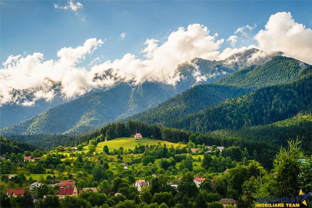 Aleasa Pensiune, pe 1.400 mp teren, in curcubeu montan, Bran, Brasov