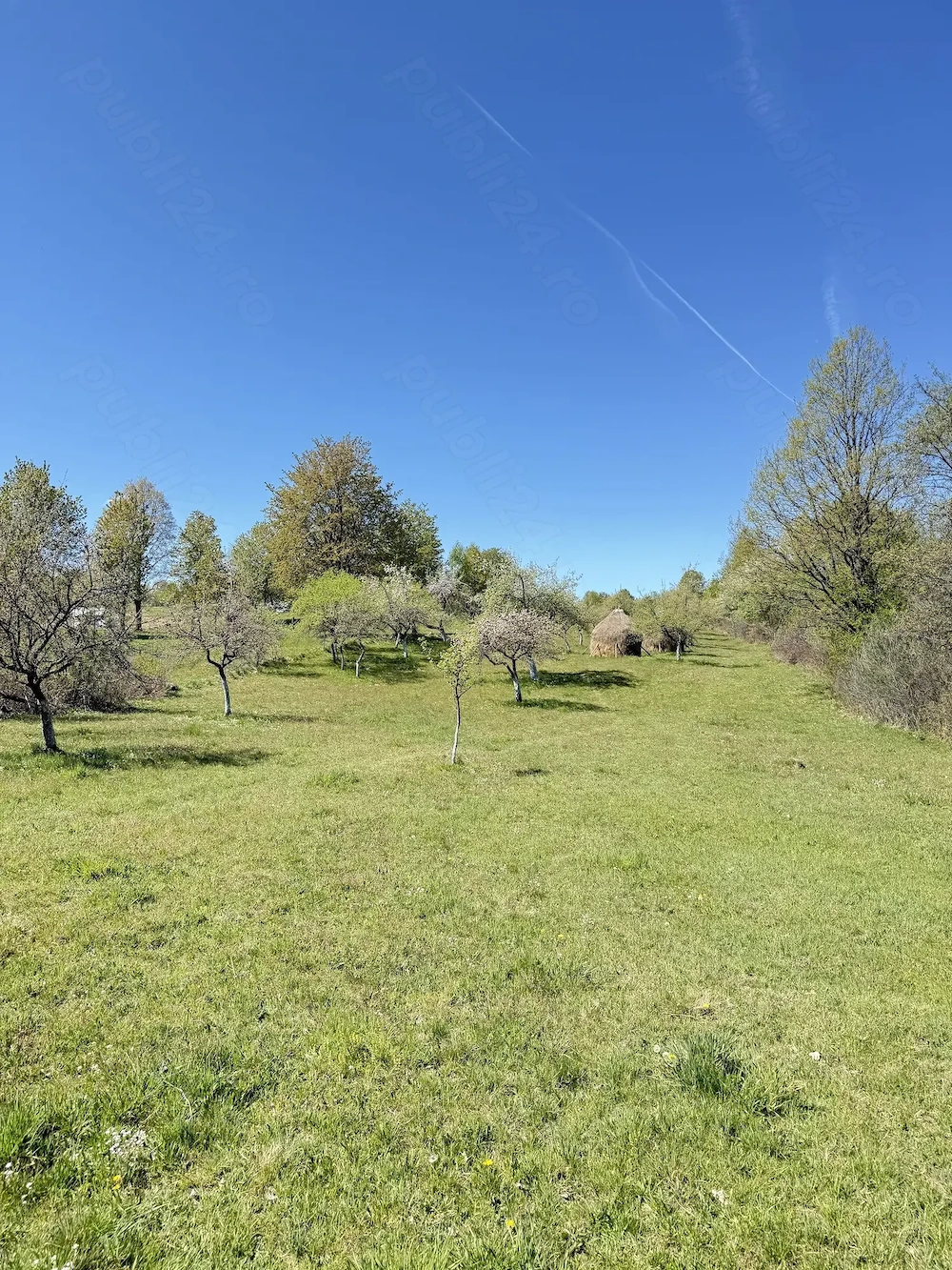    Teren extravilan intabulat de vânzare  sat Breb, Maramures