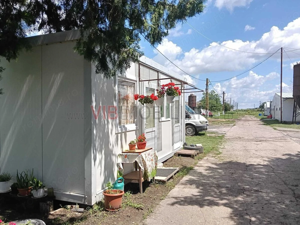Afacere de vânzare: Fermă Avicola – Ialomița