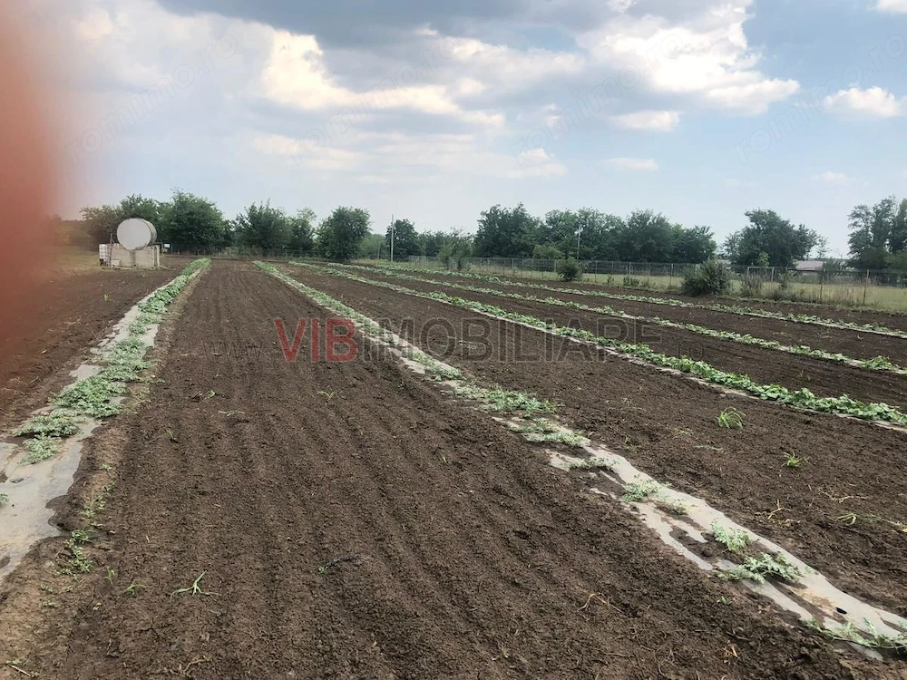 Fermă de vânzare 3 ha ,Exploatație agricolă și zootehnică