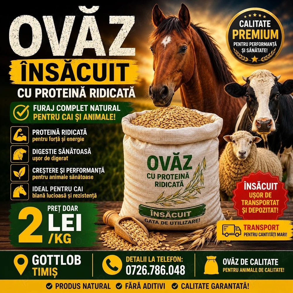 Ovaz de vanzare 