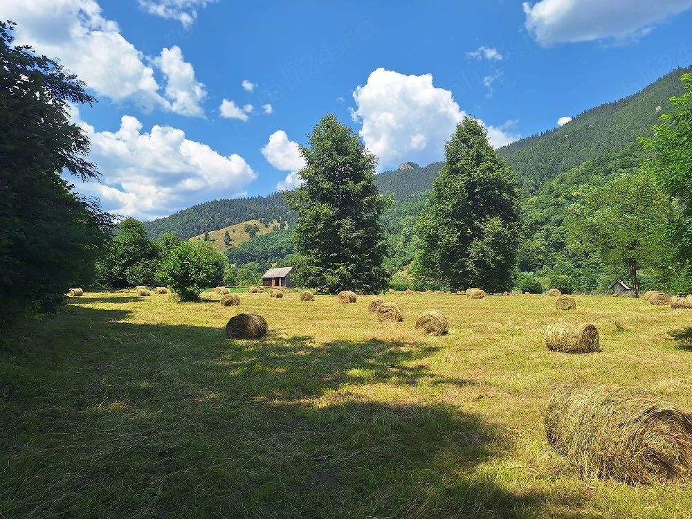  Teren Superb 18.200 mp Poiana Veche, Tulgheș - Oportunitate Investiție Turistică