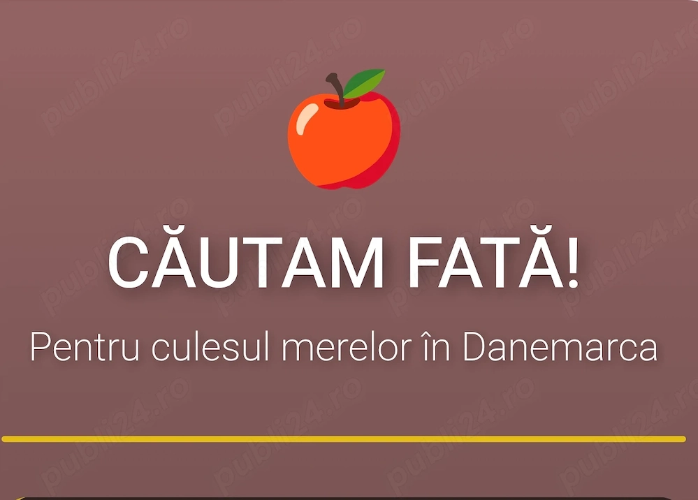 Culegător de mere categoria 1.   