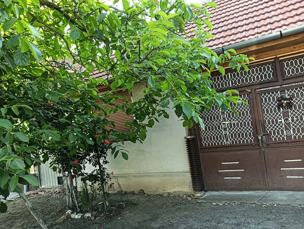 Casa de vanzare