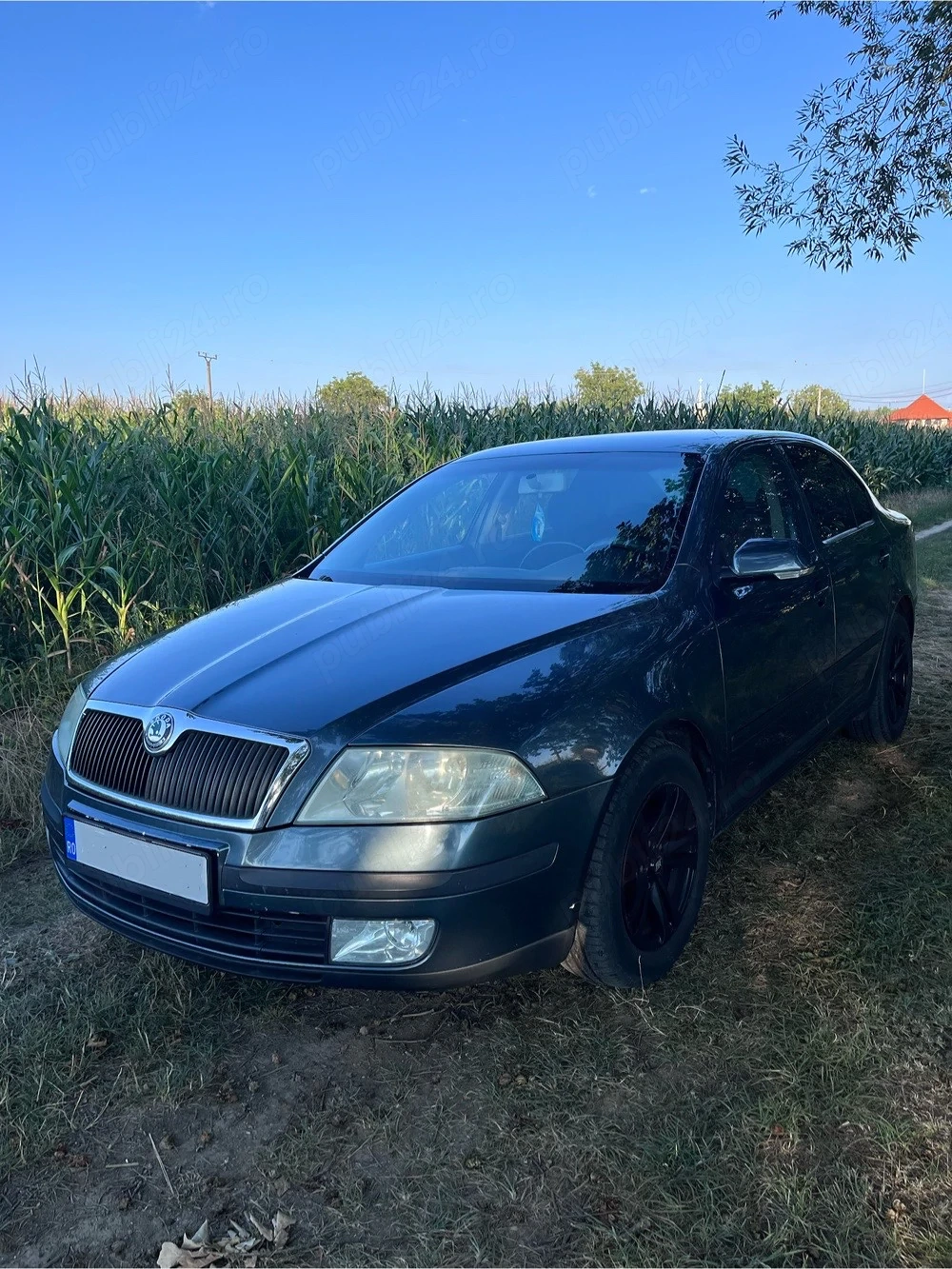 Vand Skoda Octavia 2