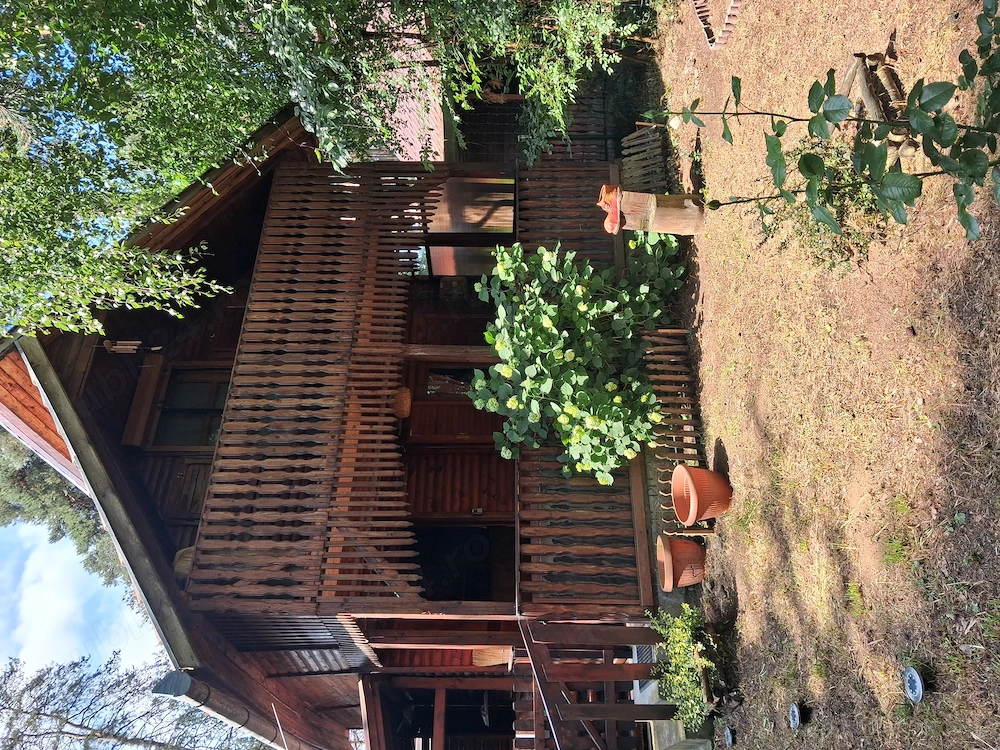 Vand Casa de vacanta la Reci Jud Covasna in zona lacului