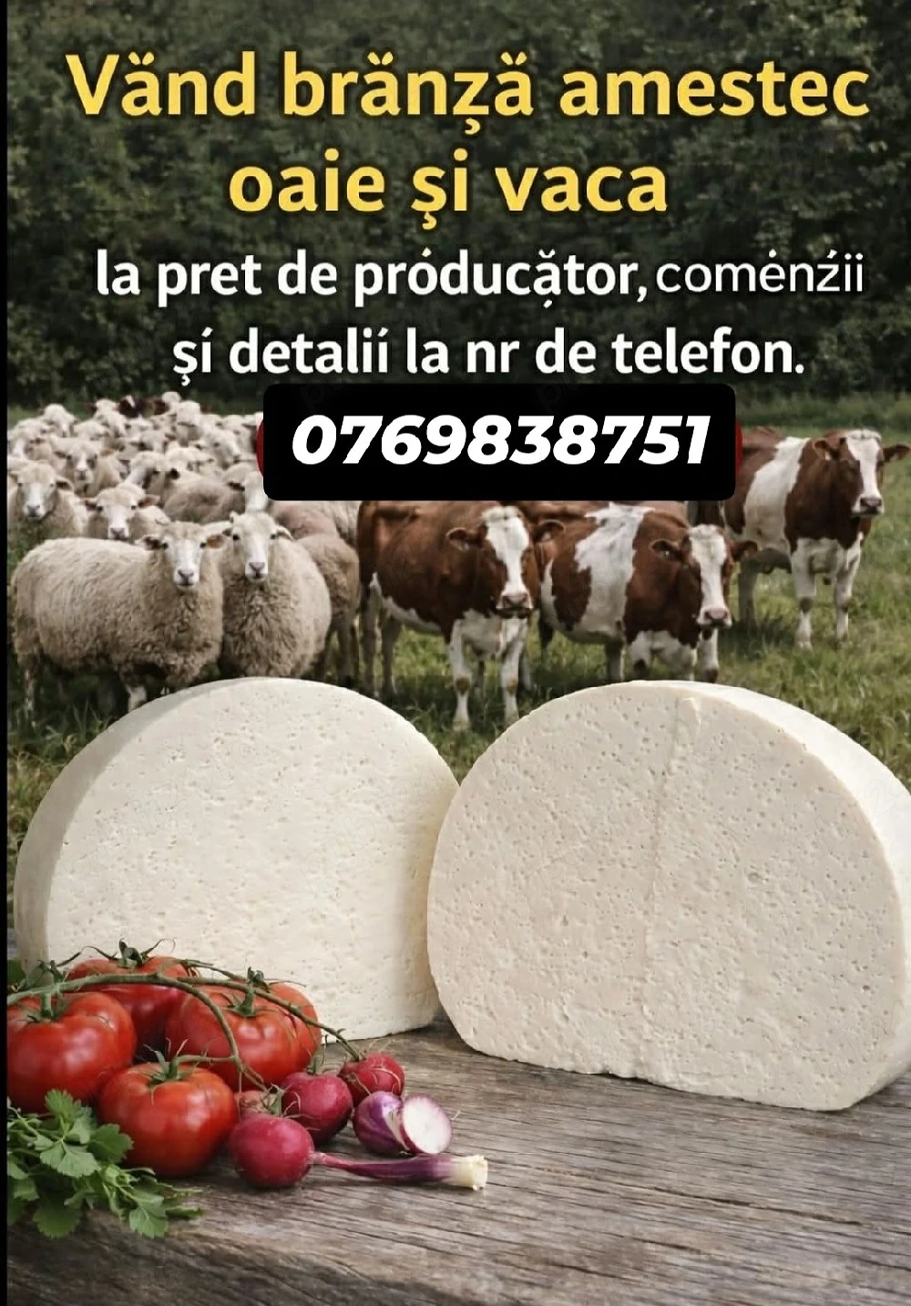Brânză de vânzare oaie, capră, vacă 