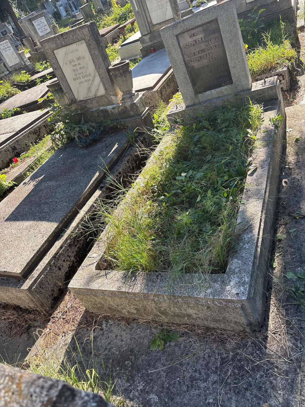 De vanzare loc de veci Cimitirul Central Cluj Napoca 