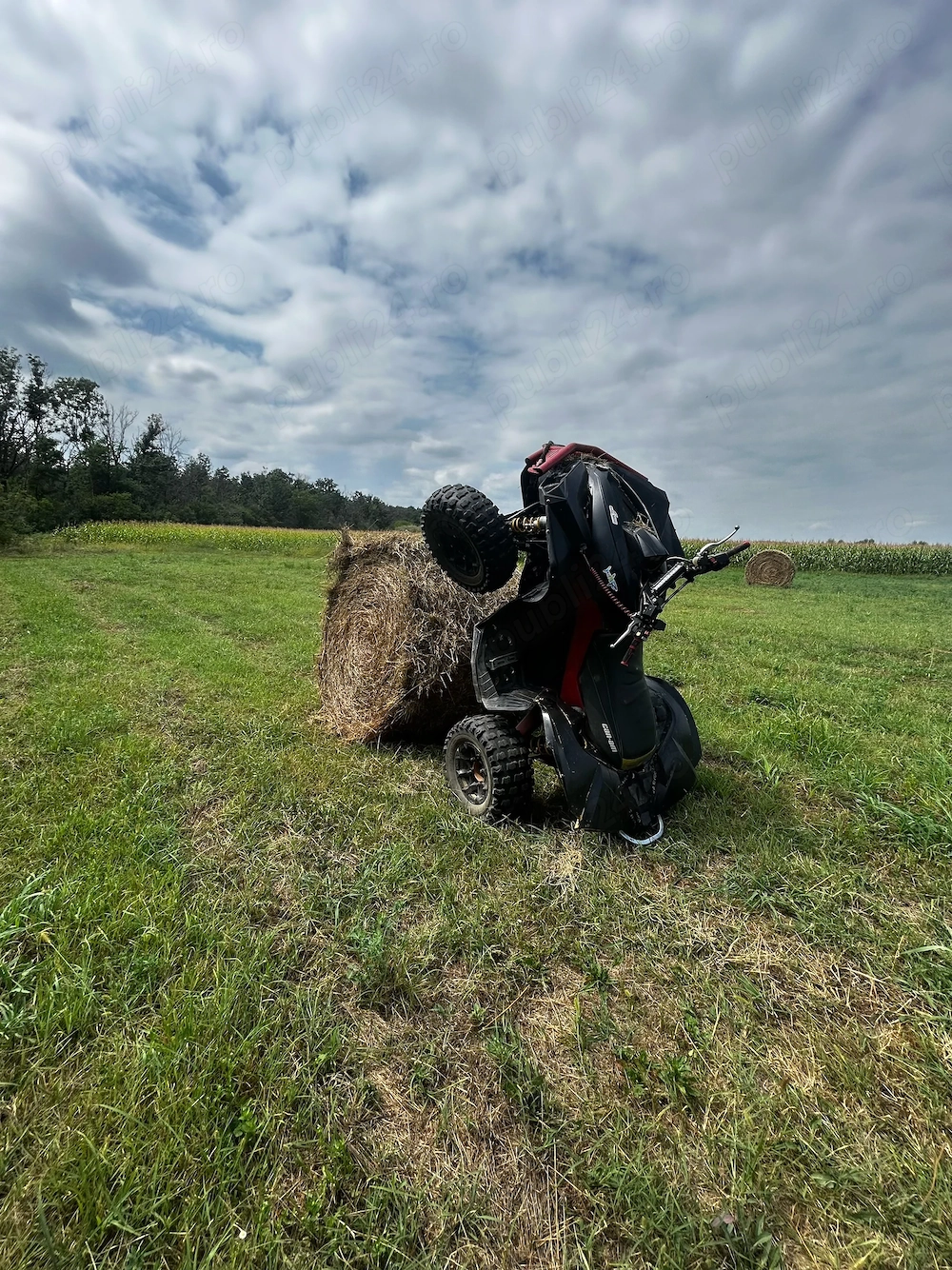 Can am renegade 800R