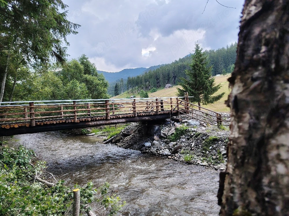 Teren cu izvor, pârâu și pădure.