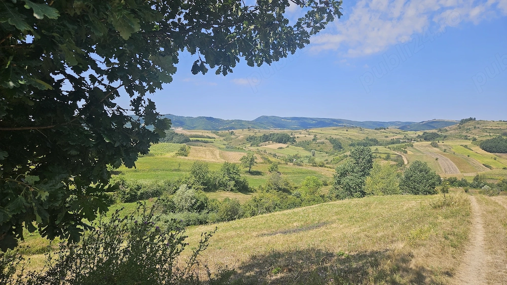 Teren 4.454 mp de vânzare în Sichevița