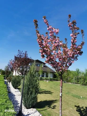 Casa vânzare km 23 A1 lângă Bolintin Deal lângă București 