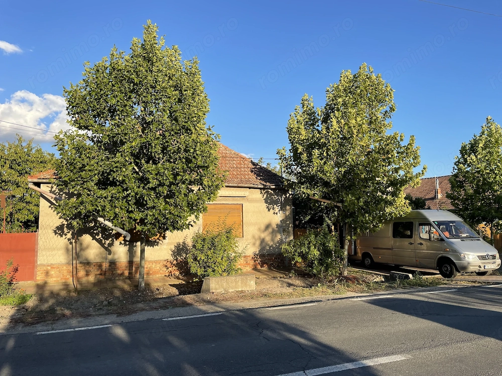 Vand casa in Sannicolau mare