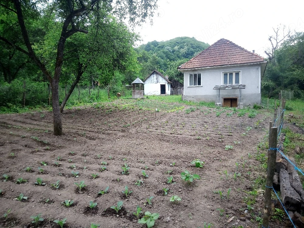 Vand Casa Halmagiu Sat Tisa cu 2 Suri 