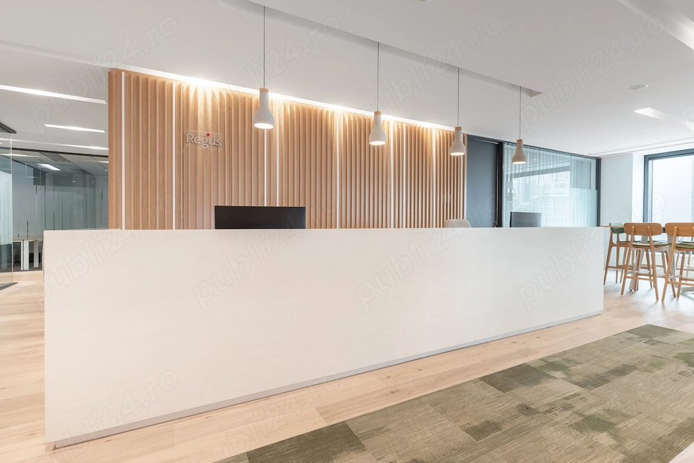 Abonamente flexibile de co-working în HQ City Gate North Tower