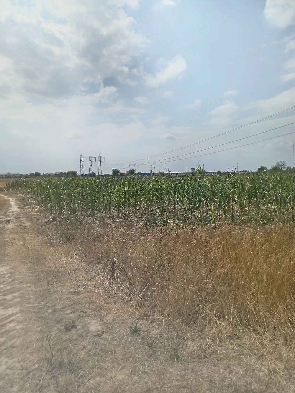 Teren intravilan în Osorhei