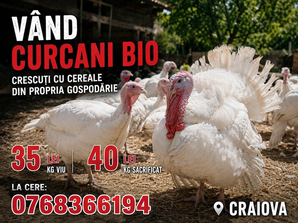 Pt mai multe detalii la telefon  