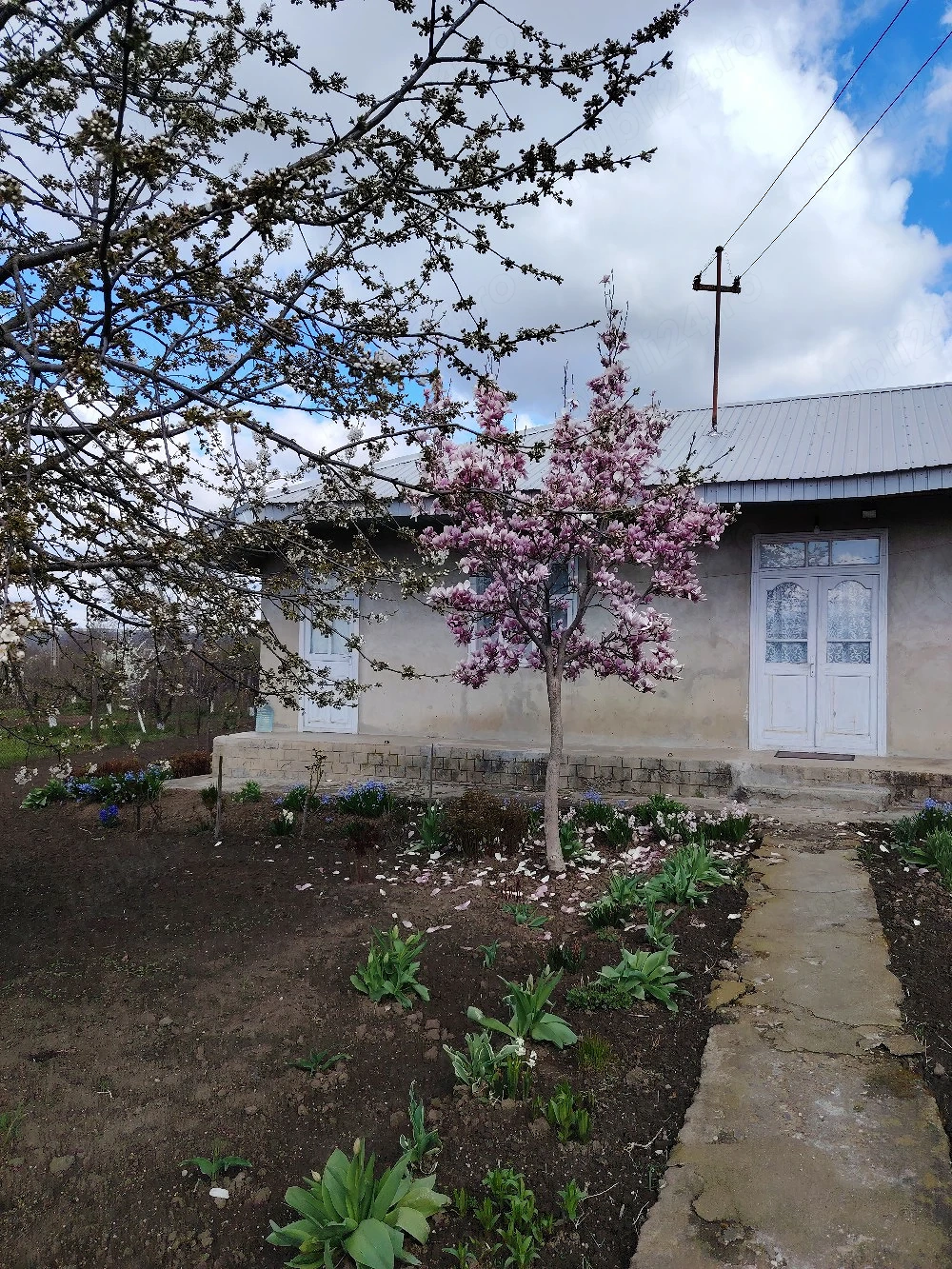 vand casa cu 5 camere