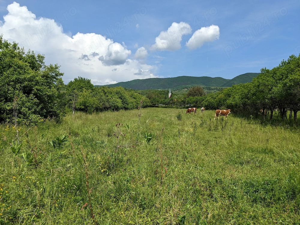 Teren 6.995 mp Tuștea (lângă Hațeg)   intravilan, vedere Retezat, livadă, utilități