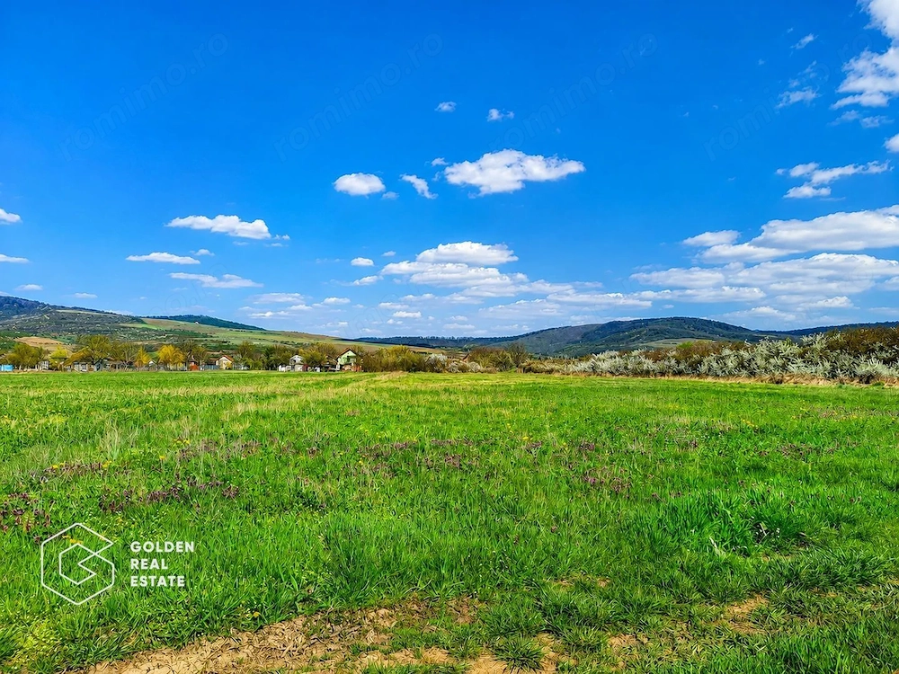 Teren agricol extravilan 250,47 ha, Șiștarovăț, județul Arad