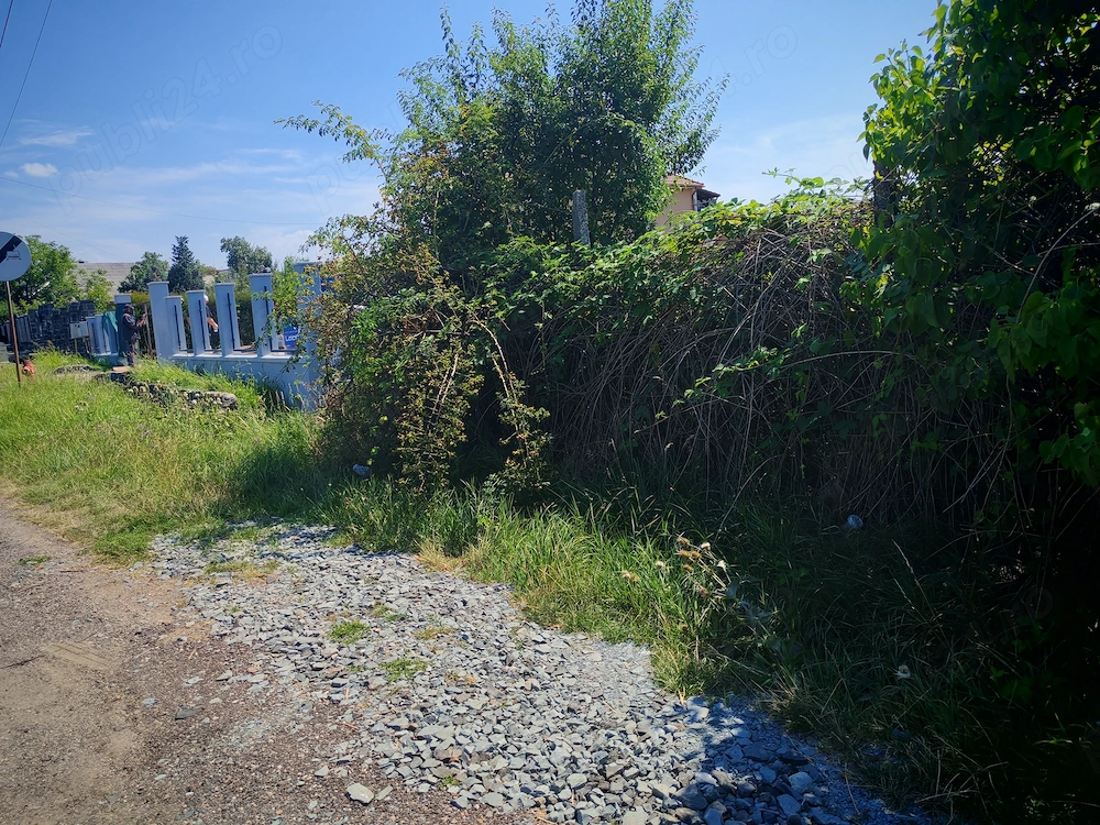 Dumbravei, teren intravilan ,45,5 ari ,utilitati la strada, front stradal 20,5 m,pret 5300 euro ar