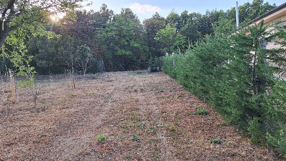 Teren la padure, loc de casa
