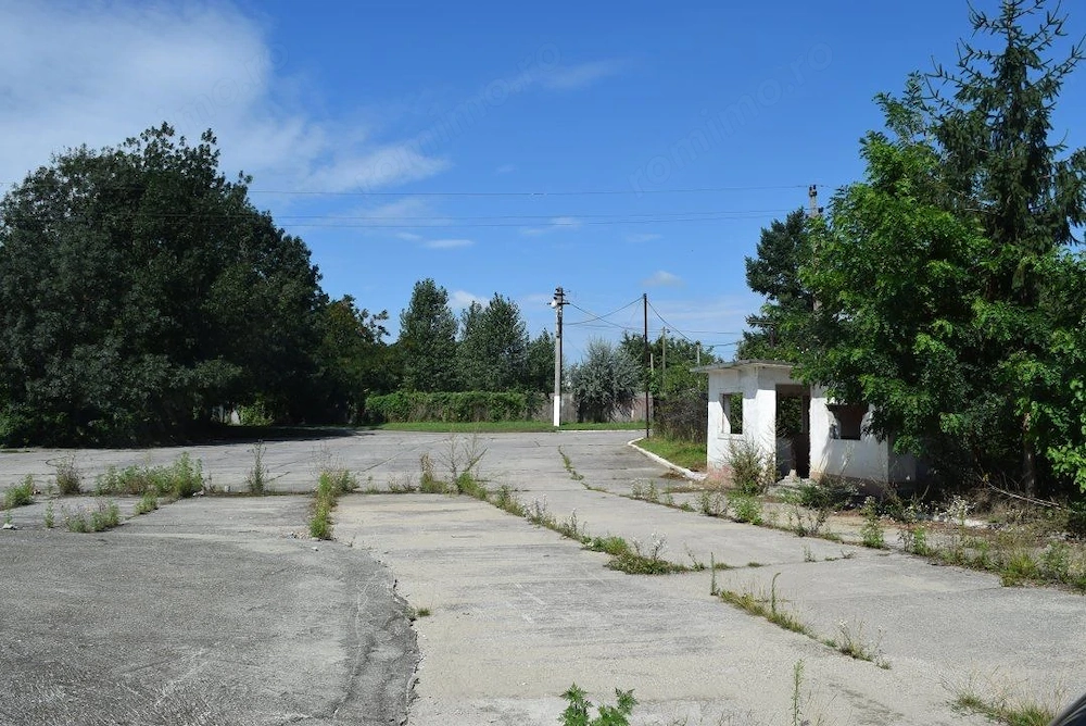 Proprietar vand teren si hale industriale- 51.550 mp • Deta